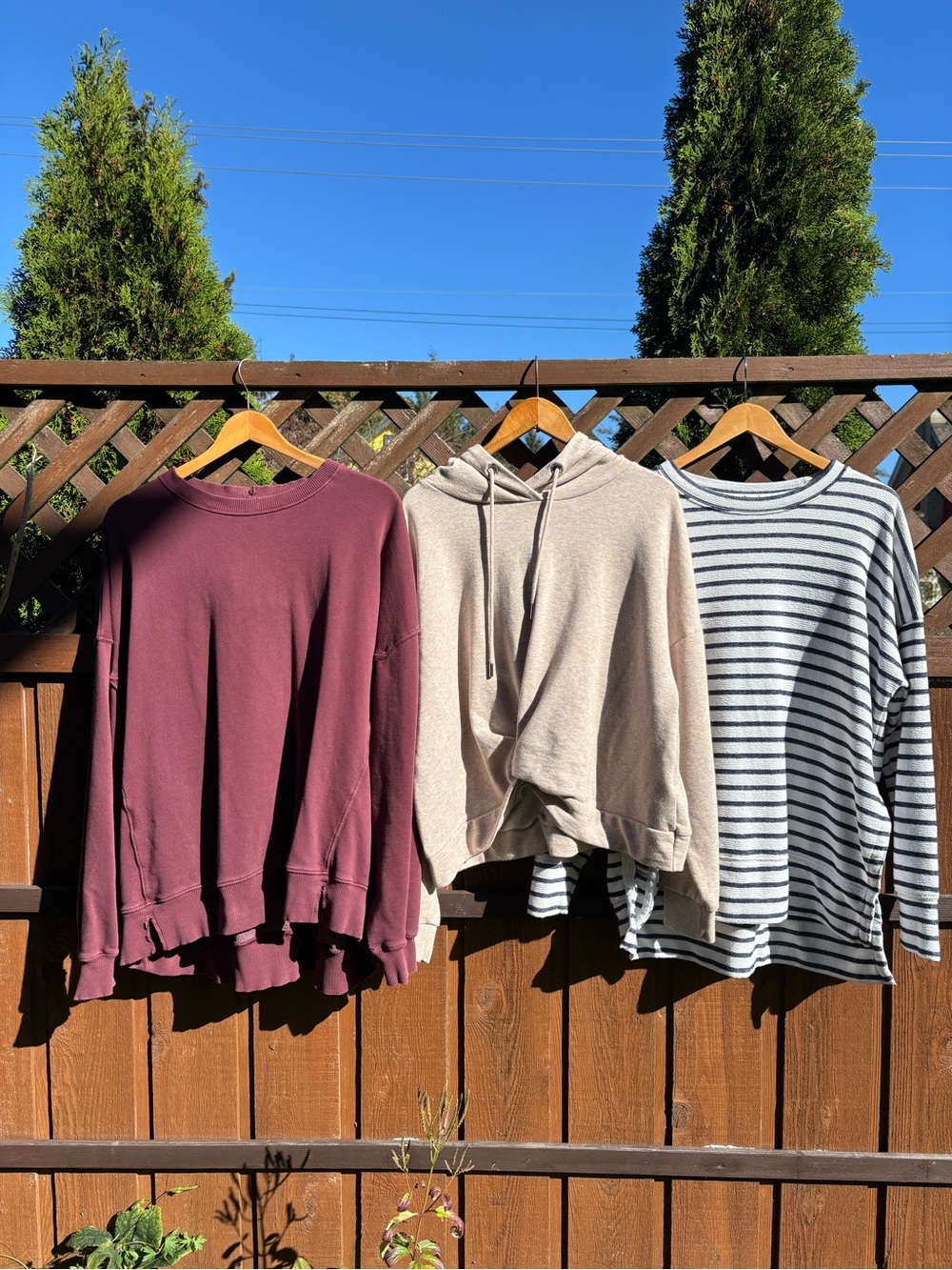 3-Piece Sweatshirt Bundle | 2 x Aerie Crewnecks + 1 x Noisy May Hoodie